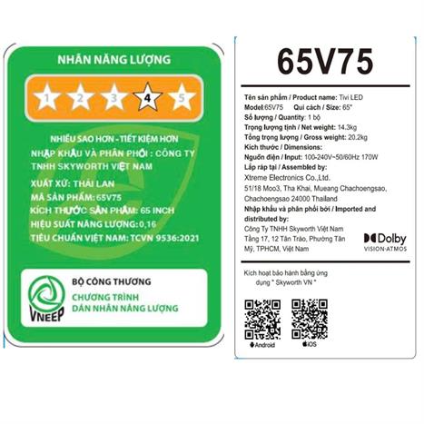 65V75-album5
