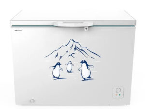 Tủ đông Inverter 300 lít Hisense FC380D4EWC1