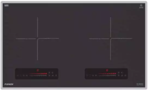 Bếp từ đôi Fandi inverter FD-829IG2 Euro platium 4000W