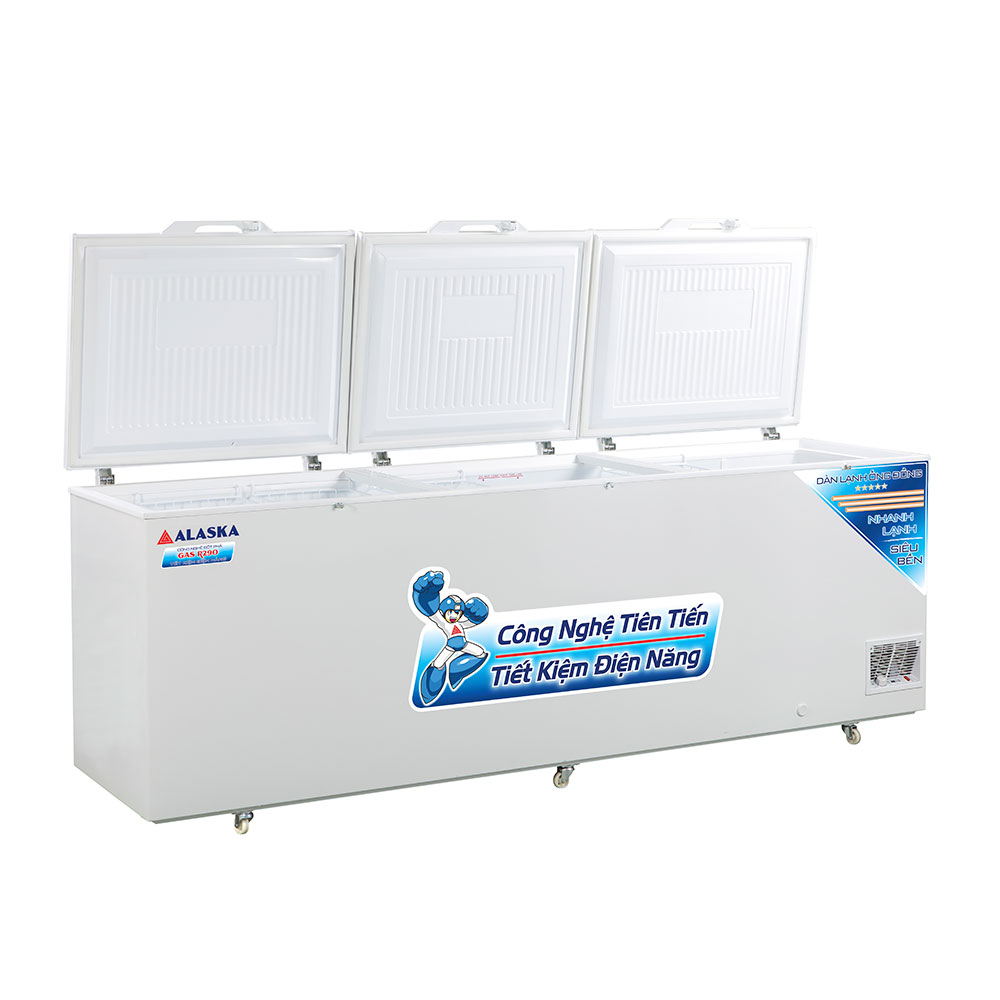 HB-1100C-album