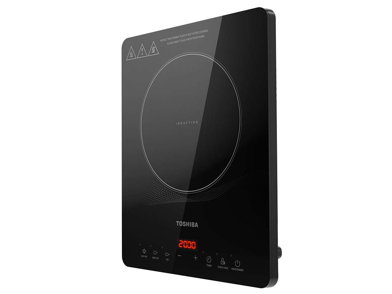 IC-20R1SV-album-2