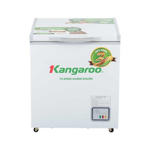 KG168NC1-1