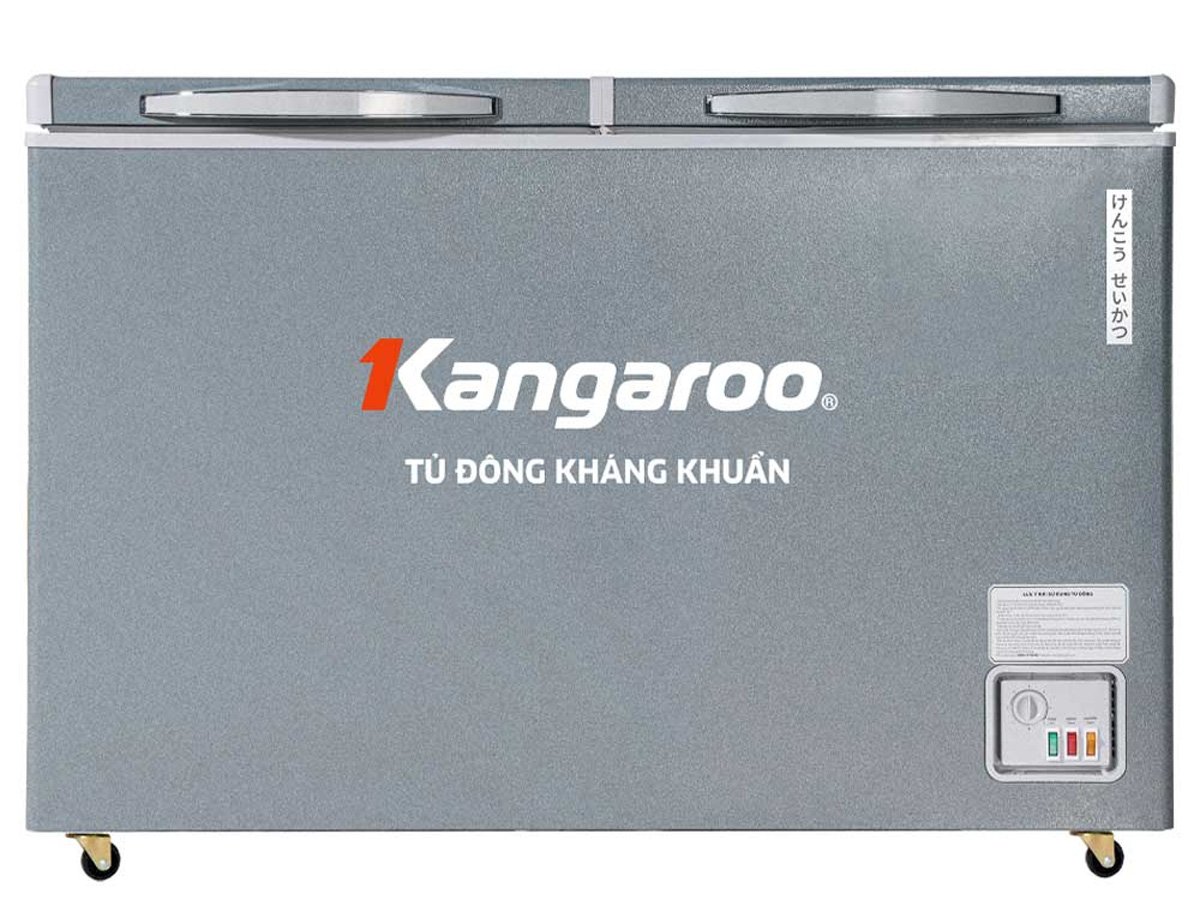 KGFZ389NG2