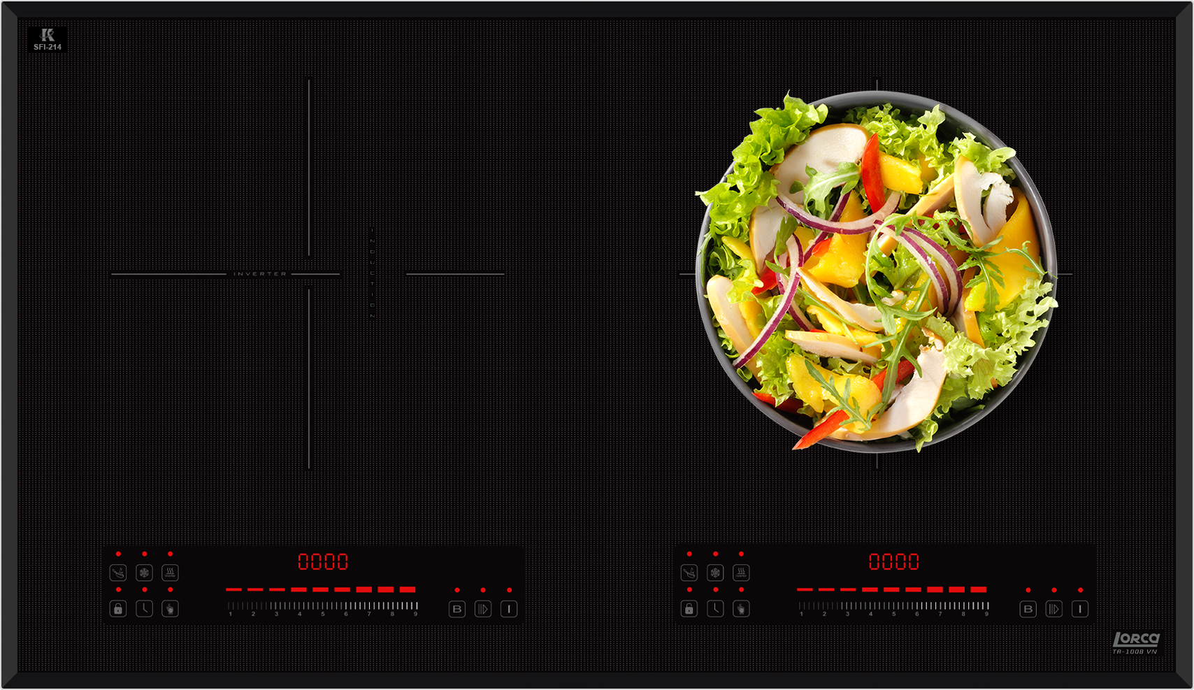 TA-1008VN-album11