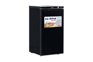 Tủ đông Sanaky Inverter 118 lít VH-160K3