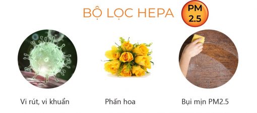 Máy lọc không khí và tạo ionizer Ferroli FAP-60D