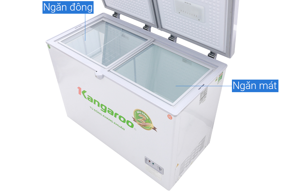 tu-dong-kangaroo-5-1